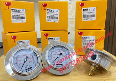 Đồng hồ đo áp suất dầu thủy lực PGF0631250